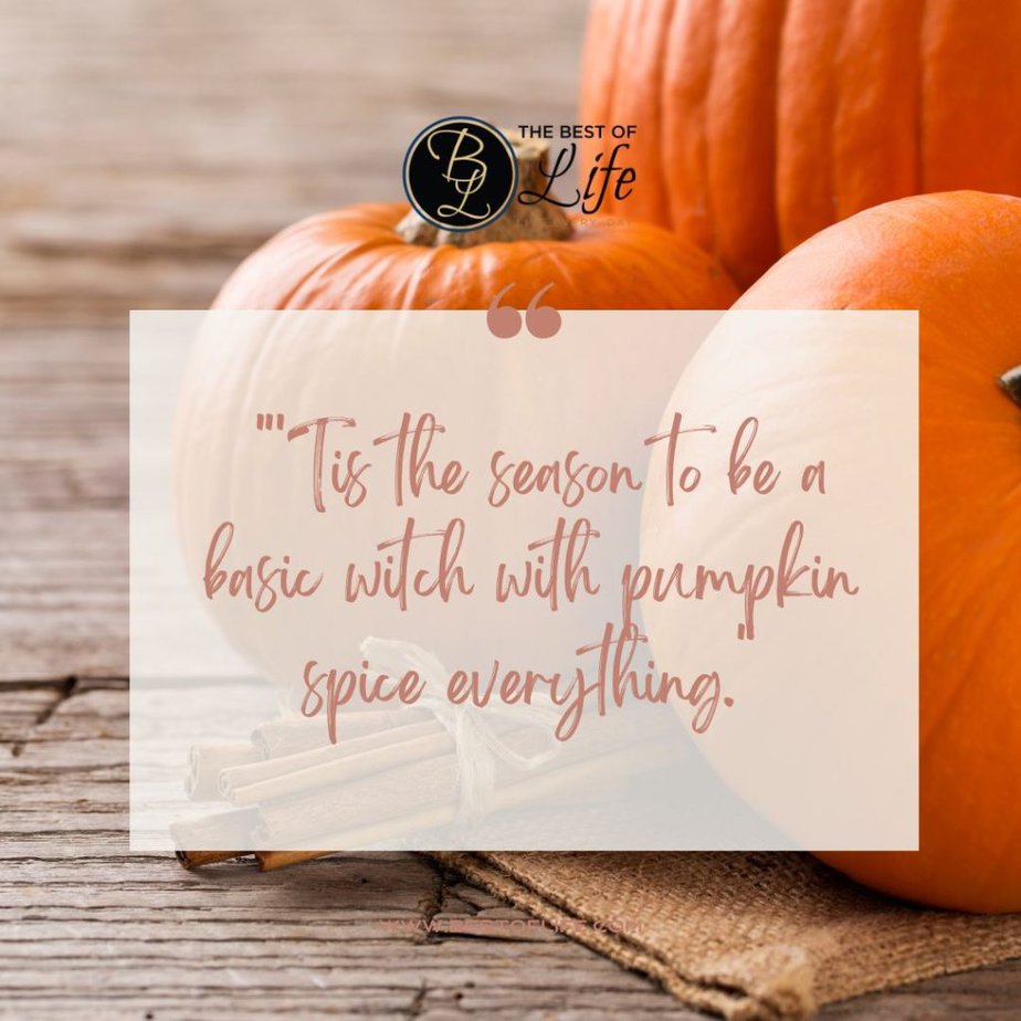 Fall Quotes for Pumpkin Spice Season “‘Tis the season to be a basic witch with pumpkin spice everything.”