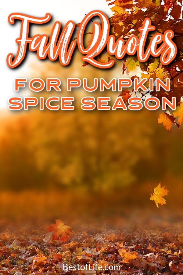 The best fall quotes for pumpkin spice season are perfect for helping us get in the fall mindset to enjoy every moment more thoroughly. Quotes About Fall | Quotes for Fall | Autumn Quotes | Quotes for Autumn | Quotes About Pumpkin Spice | Pumpkin Spice Quotes | Quotes for October | October Quotes | November Quotes #pumpkinspice #quotes via @thebestoflife