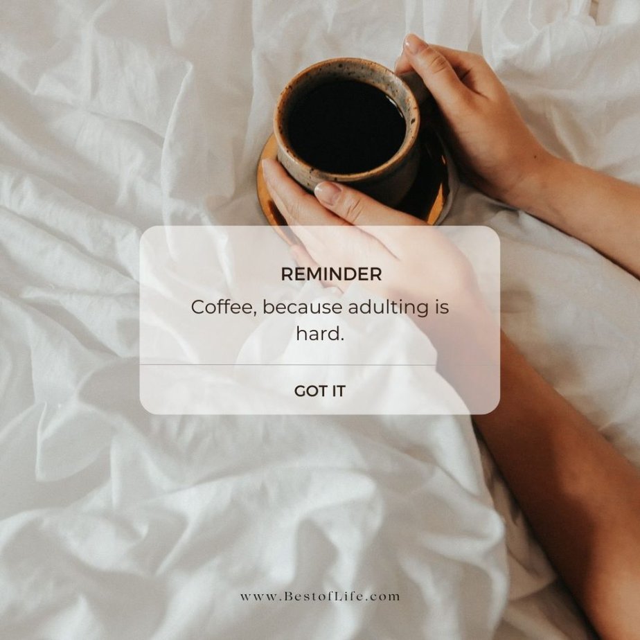 Coffee Quotes Coffee, because adulting is hard.