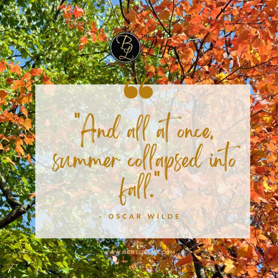 Fall Quotes for Pumpkin Spice Season “And all at once, summer collapsed into fall.” -Oscar Wilde