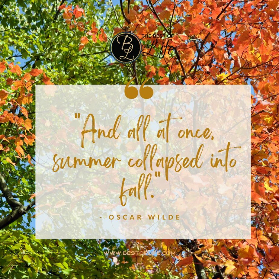 Best Fall Quotes For Pumpkin Spice Season The Best Of Life