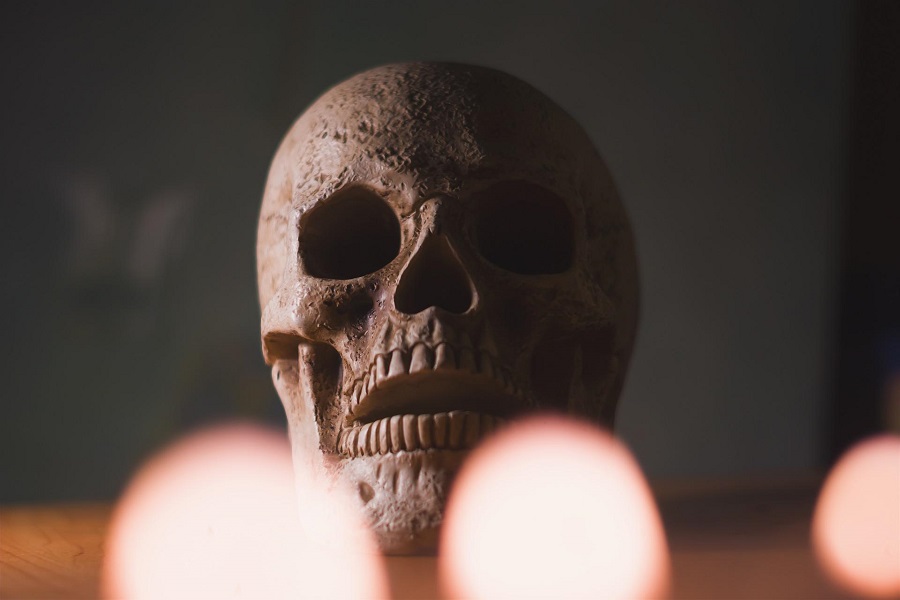 Halloween Virgin Party Drinks a Skull Sitting on a Table