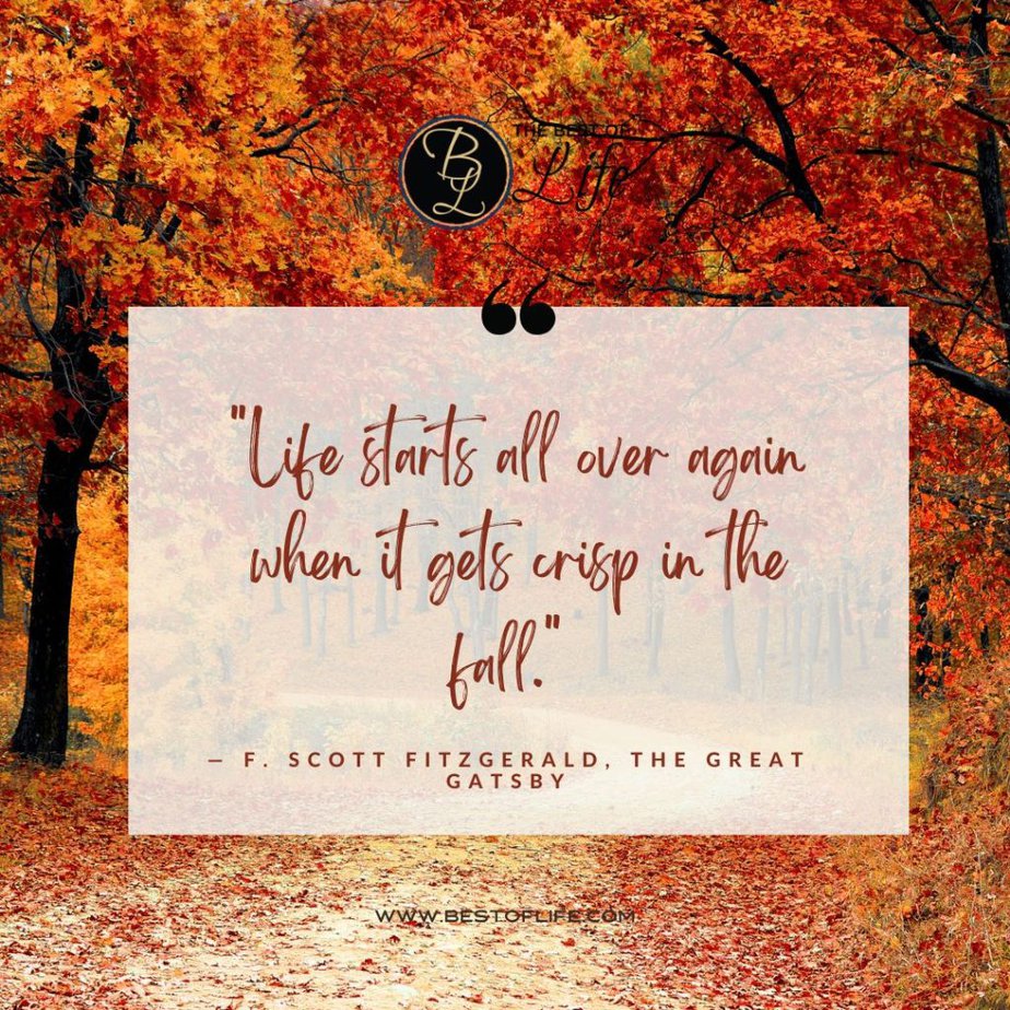 Fall Quotes for Pumpkin Spice Season “Life starts all over again when it gets crisp in the fall.” -F. Scott Fitzgerald