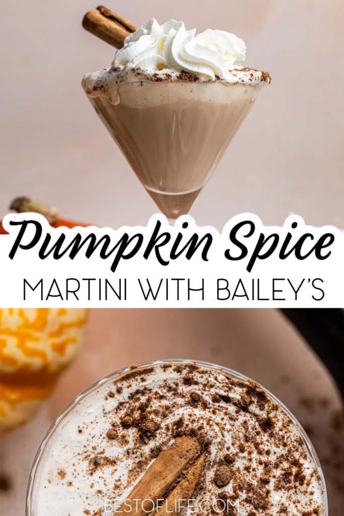 The best pumpkin spice martini with Baileys recipe can get you in the mood for the season as one of the best fall cocktails. Cocktails with Pumpkin Spice | Pumpkin Spice Cocktails | Fall Party Recipes | Fall Cocktail Recipes | Halloween Party Cocktails | Cocktails for Halloween | Halloween Cocktails | Halloween Party Drinks | Drinks for Fall | Fall Drink Recipes #pumpkinspice #martini