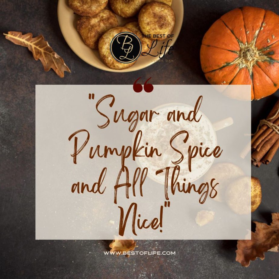 Fall Quotes for Pumpkin Spice Season “Sugar and pumpkin spice and all things nice.”