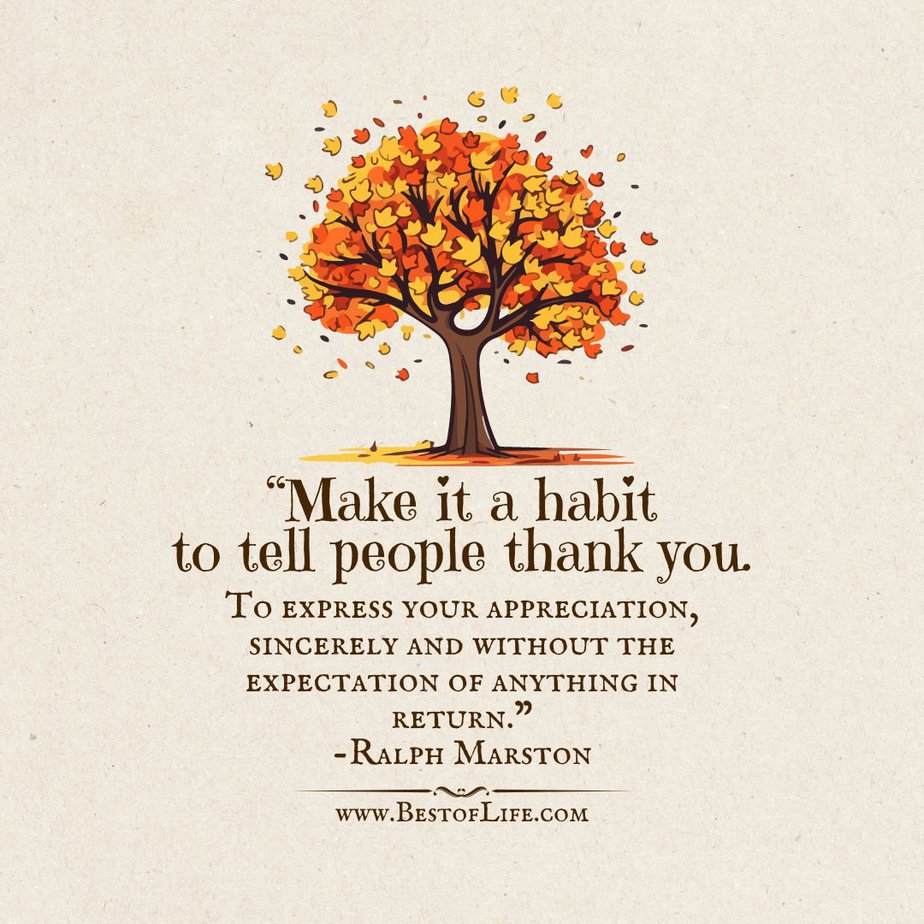 Best Thankful Quotes for Thanksgiving “Make it a habit to tell people thank you. To express your appreciation, sincerely and without the expectation of anything in return.” -Ralph Marston