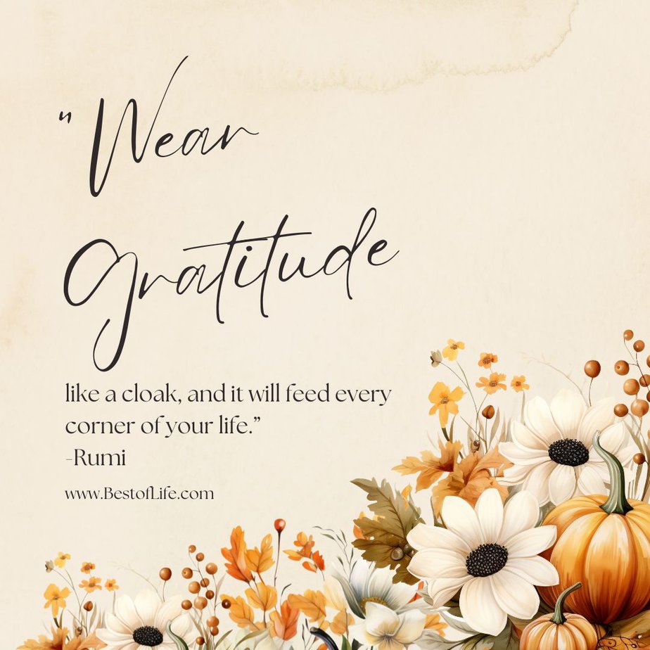 Best Thankful Quotes for Thanksgiving “Wear gratitude like a cloak, and it will feed every corner of your life.” -Rumi