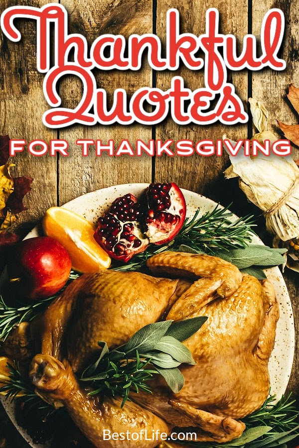 Thankful quotes for Thanksgiving can help us remember the history of Thanksgiving beyond the best Thanksgiving recipes. Quotes About Thanksgiving | Gratitude Quotes | Quotes About Gratitude | Quotes About Being Thankful | Inspirational Quotes for All Ages | Motivational Quotes for All Ages #quotes #thanksgiving
