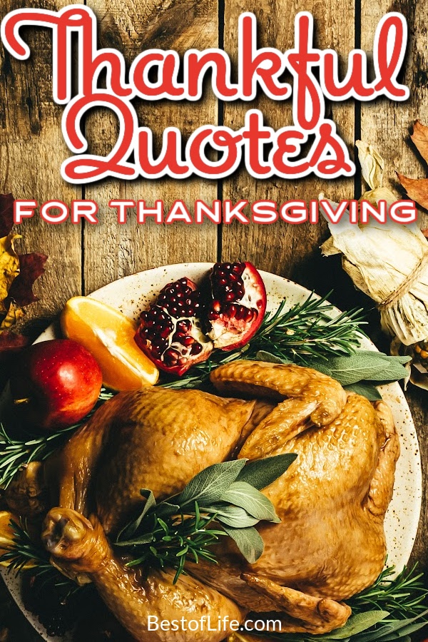 Thankful quotes for Thanksgiving can help us remember the history of Thanksgiving beyond the best Thanksgiving recipes. Quotes About Thanksgiving | Gratitude Quotes | Quotes About Gratitude | Quotes About Being Thankful | Inspirational Quotes for All Ages | Motivational Quotes for All Ages #quotes #thanksgiving via @thebestoflife