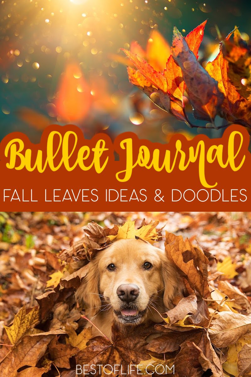 Bullet journal fall leaves can really help you add a touch of the season to your bullet journal and doodles could help drive that theme home. Bullet Journal Ideas | Doodle Ideas for Bullet Journals | Bullet Journal Doodle Tutorials | Fall Leaves for Bullet Journal | Bullet Journal Fall Layouts Doodle Tutorials for Fall | Fall Doodle Ideas | Easy Bullet Journal Decor #bulletjournal #falldoodles via @thebestoflife