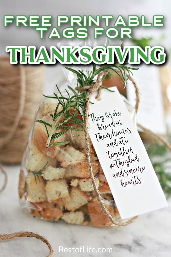 The best free Thanksgiving printable tags are perfect for host gifts, party favors, and other holiday party ideas for your festive gathering. Holiday Printable Tags | Printable Tags for Holidays | Holiday Printable Ideas | Thanksgiving DIY Ideas | DIY Holiday Ideas | Thanksgiving Ideas | Tags for Thanksgiving | Gift Ideas for Thanksgiving Hosts | Holiday Party Printables #thanksgiving #printables via @thebestoflife