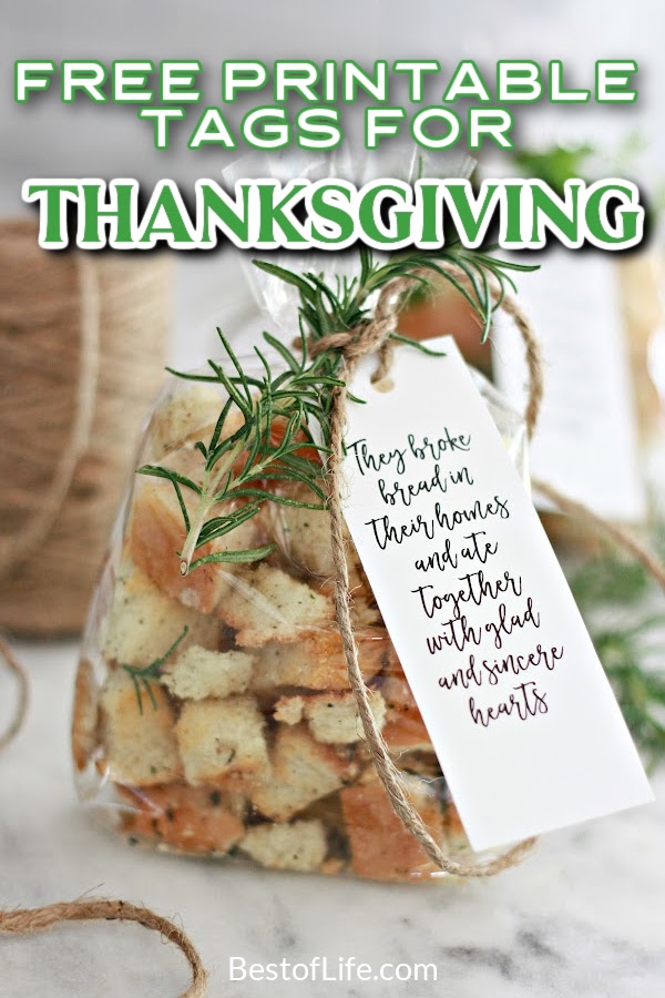 The best free Thanksgiving printable tags are perfect for host gifts, party favors, and other holiday party ideas for your festive gathering. Holiday Printable Tags | Printable Tags for Holidays | Holiday Printable Ideas | Thanksgiving DIY Ideas | DIY Holiday Ideas | Thanksgiving Ideas | Tags for Thanksgiving | Gift Ideas for Thanksgiving Hosts | Holiday Party Printables #thanksgiving #printables