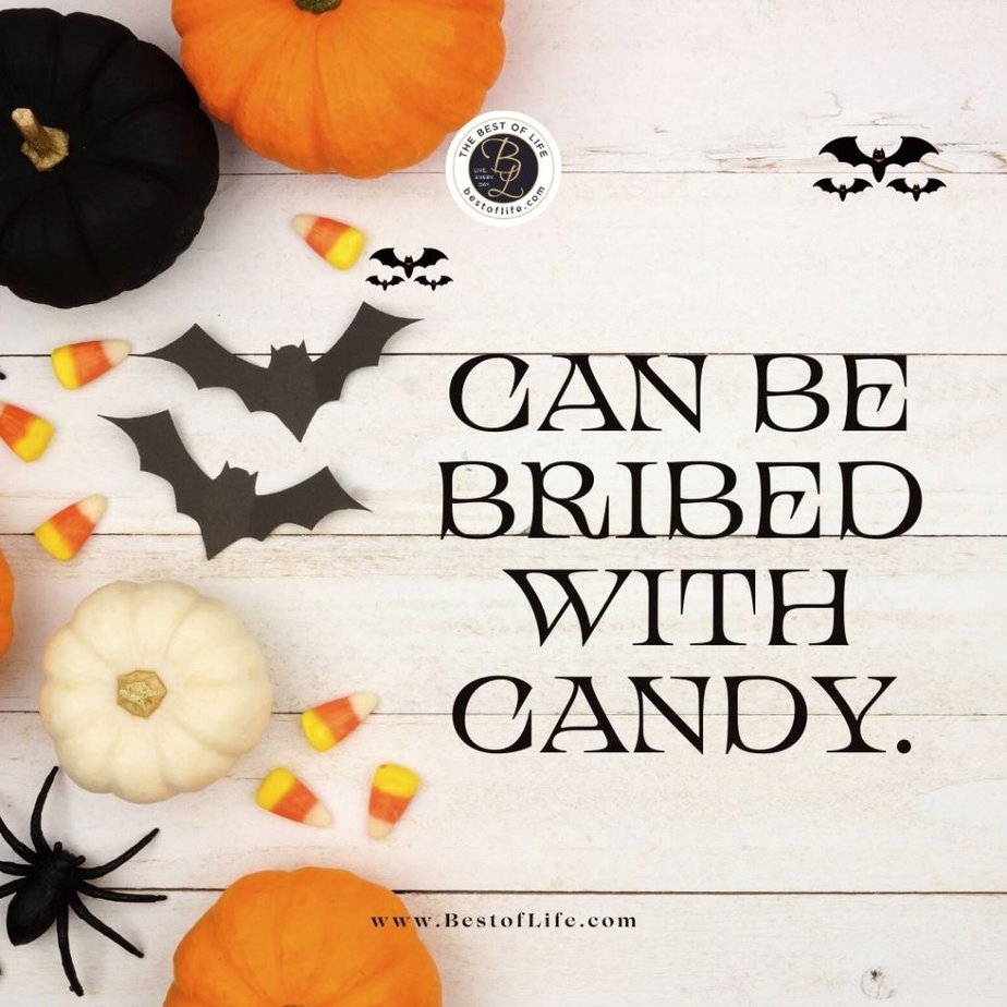 Halloween Letter Board Quotes Can be bribed with candy.