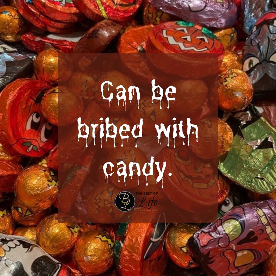 Halloween Letter Board Quotes Can be bribed with candy.