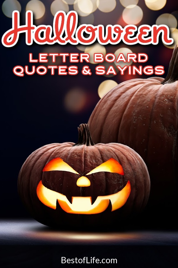 Liven up your Halloween party decor with Halloween letter board quotes, or use them as DIY Halloween decor for October. Halloween Quotes | Quotes for Halloween | Spooky Quotes for Halloween | Funny Halloween Quotes | Halloween Letter Board Ideas | Letter Board Ideas for Halloween | DIY Halloween Decor | Simple Halloween Decor | Halloween Party Ideas | Themeing for Halloween Parties | Fun Halloween Party Quotes | Sayings for Halloween Party Toasts #halloween #quotes via @thebestoflife