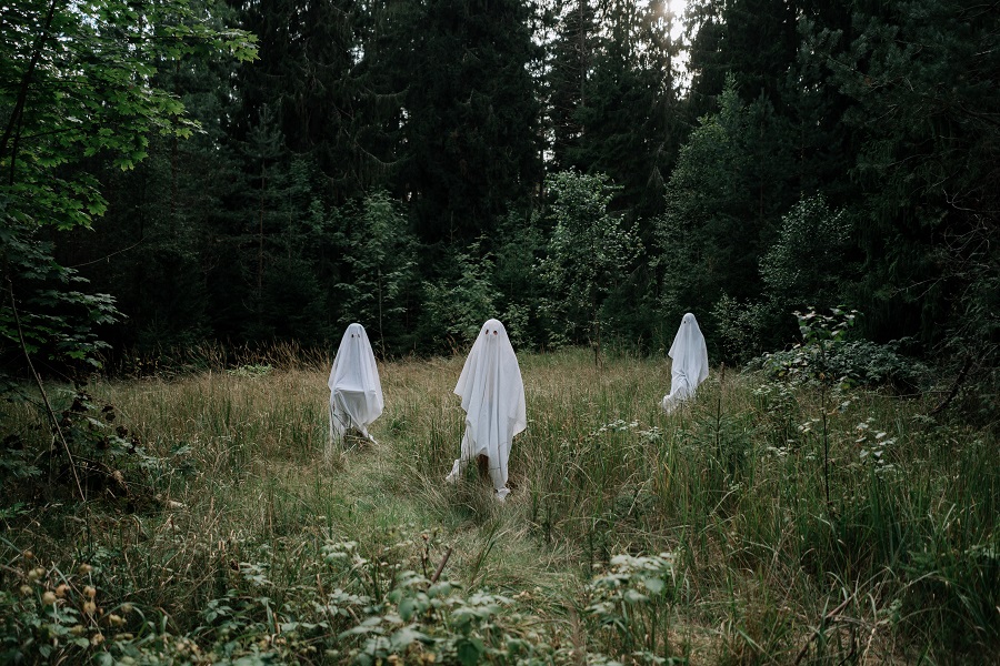 Short Horror Stories Sentences Three Ghosts Standing in a Field Surrounded by Trees