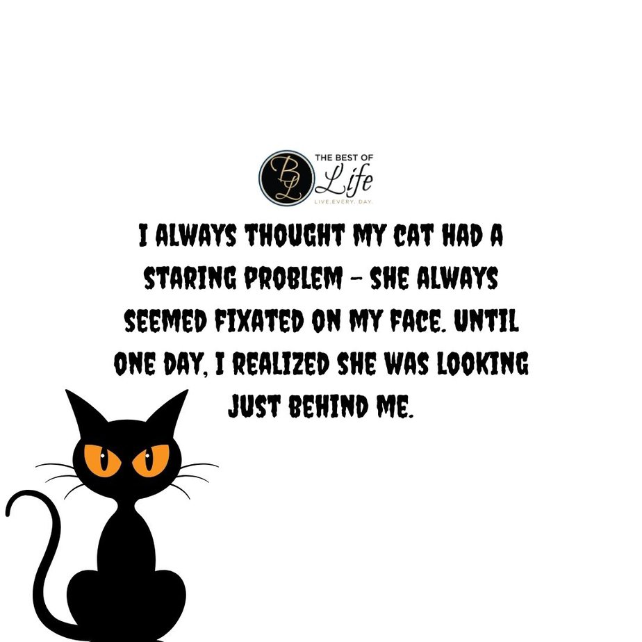 Short Horror Stories Sentences I always thought my cat had a staring problem - she always seemed fixated on my face. Until one day, I realized she was looking just behind me.