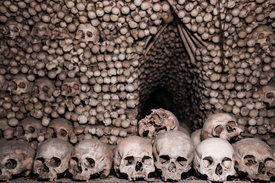 Short Horror Stories Sentences a Catacomb of Skulls