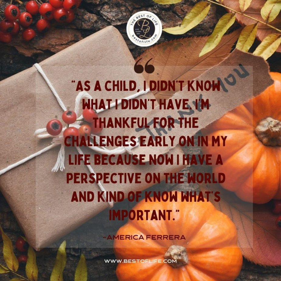 Thankful Quotes “As a child, I didn’t know what I didn’t have. I’m thankful for the challenges early on in my life because now I have a perspective on the world and kind of know what’s important.” -America Ferrera