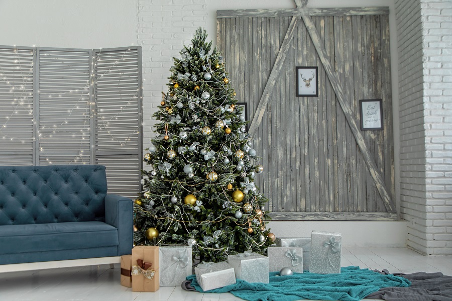 Christmas Tree Ideas A Blue and White Living Room with a Decorated Christmas Tree
