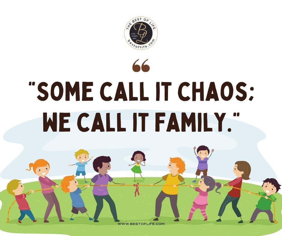 Family Reunion Quotes “Some call it chaos; we call it family.”