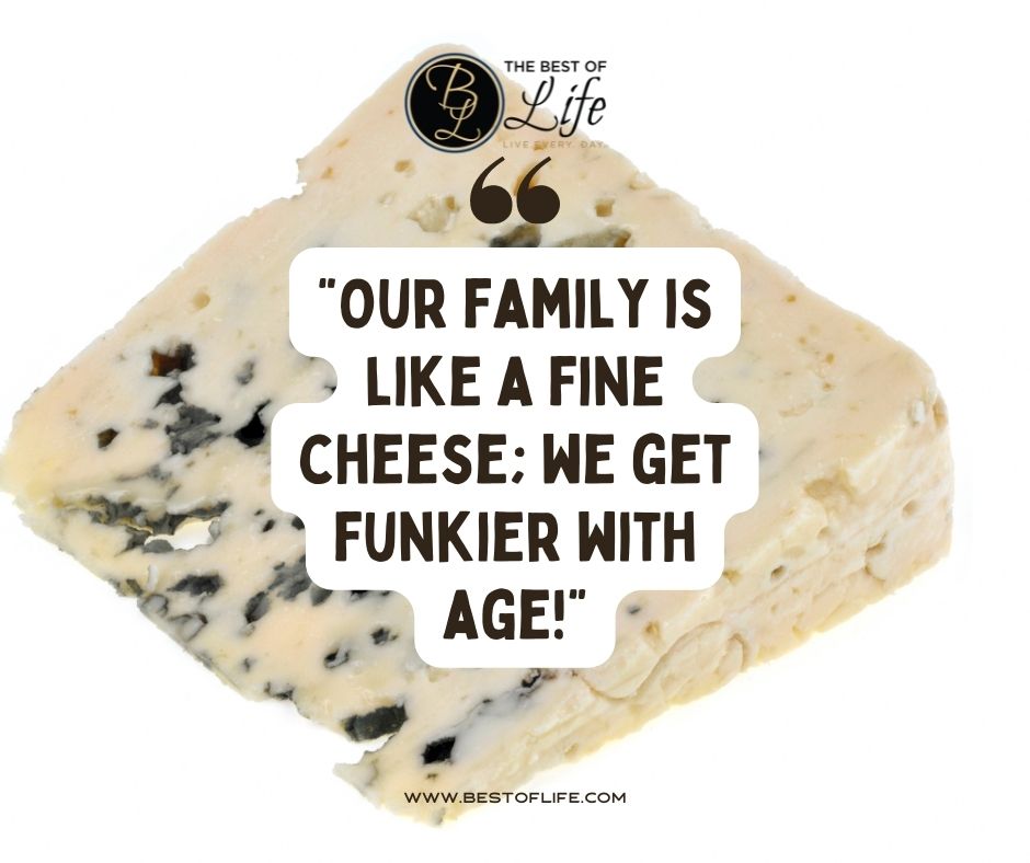 Family Reunion Quotes “Our family is like a fin cheese; we get funkier with age!”