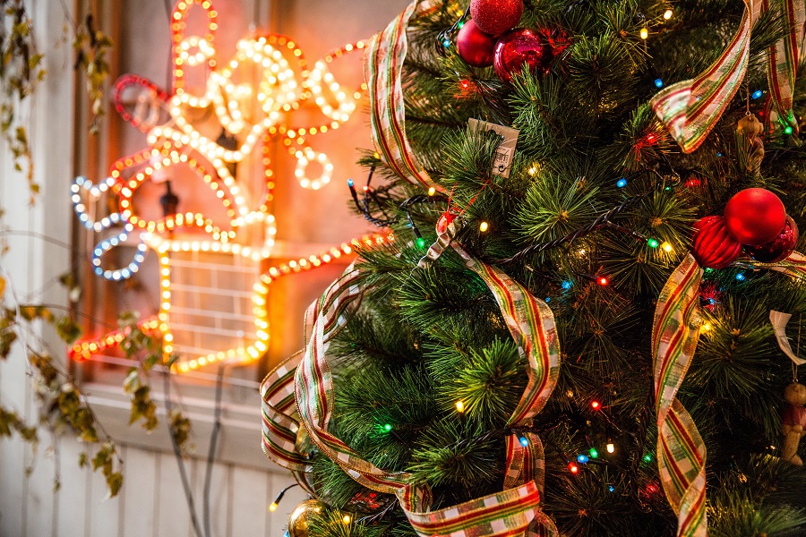 Festive Christmas Tree Ideas for Decorating | Tips for Decorating Christmas Trees