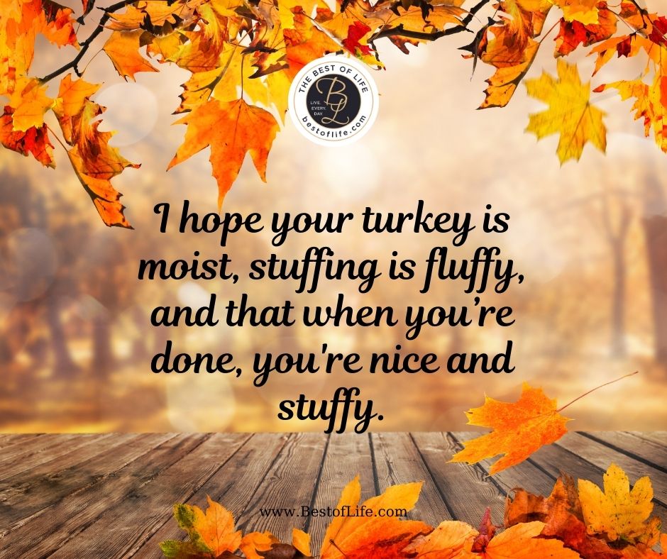 Thanksgiving Letter Board Ideas “I hope your turkey is moist, stuffing is fluffy, and that when you’re done, you’re nice and stuffy.”