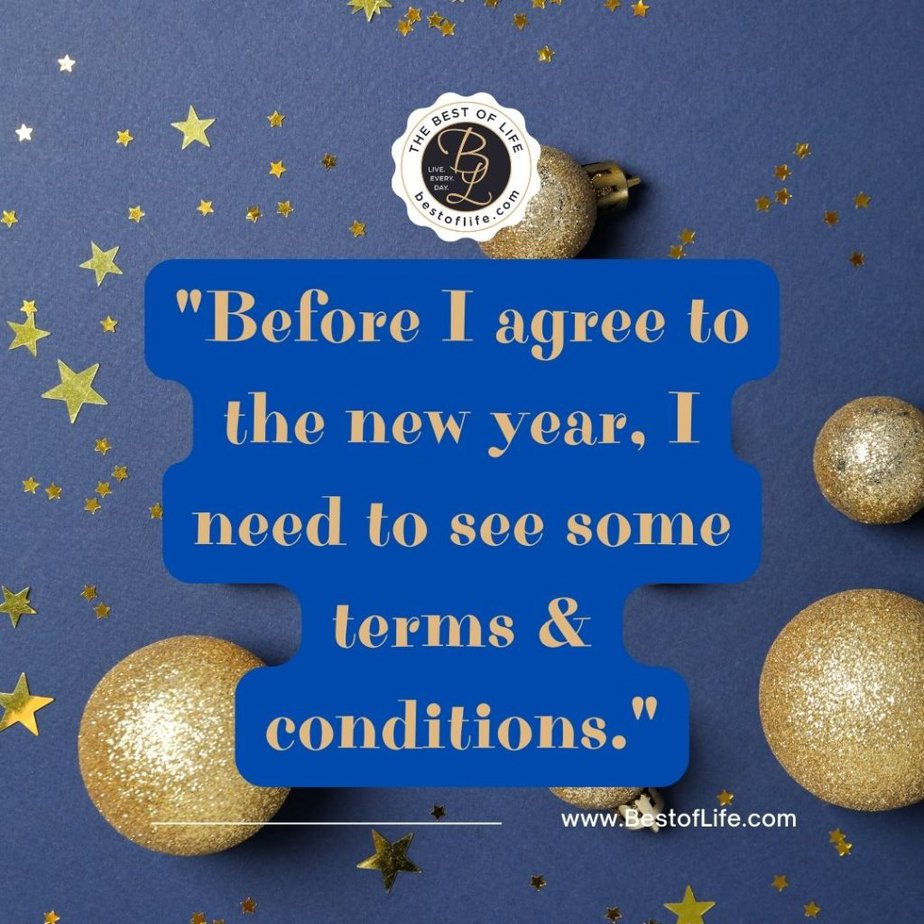 Funny New Year Quotes “Before I agree to the new year, I need to see some terms & conditions.”