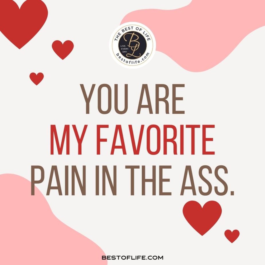 Sarcastic Valentines Day Quotes You are my favorite pain in the ass.