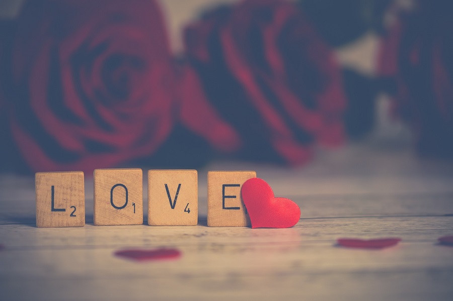 Valentines Photoshoot Ideas Close Up of Letter Tiles Spelling LOVE with Roses in the Background
