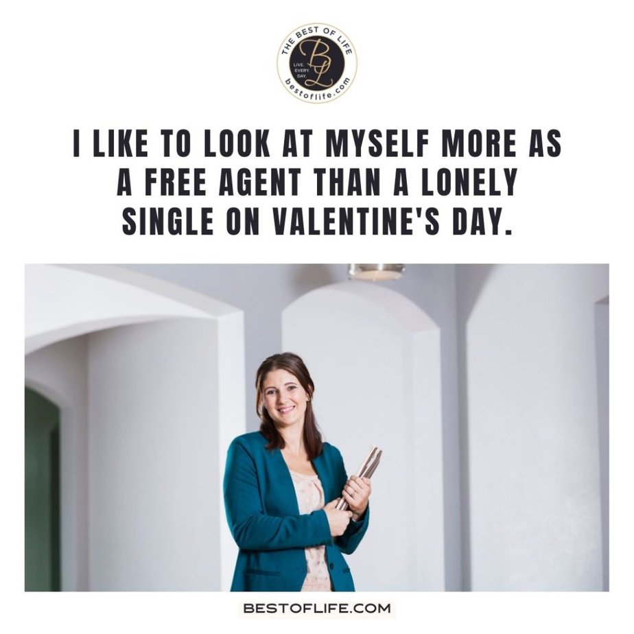 Valentines Memes for Singles I like to look at myself more as a free agent than a lonely single on Valentine’s Day.