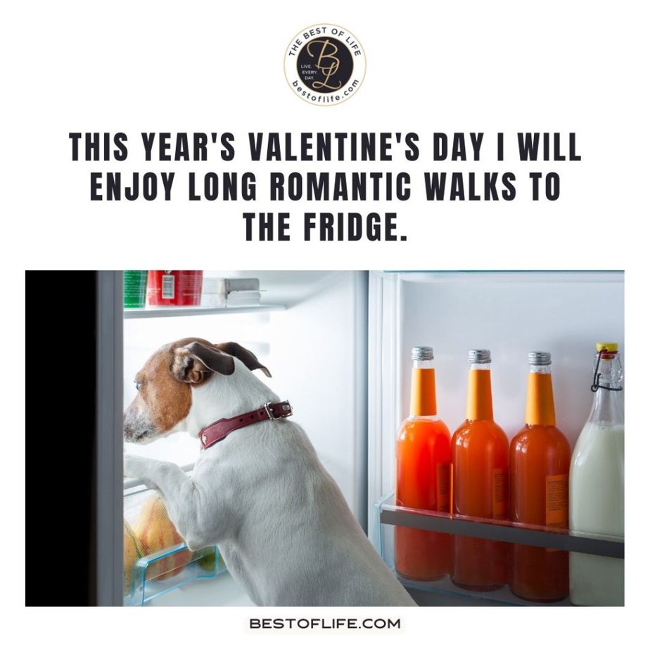 Valentines Memes for Singles This year’s Valentine’s Day I will enjoy long romantic walks to the fridge.