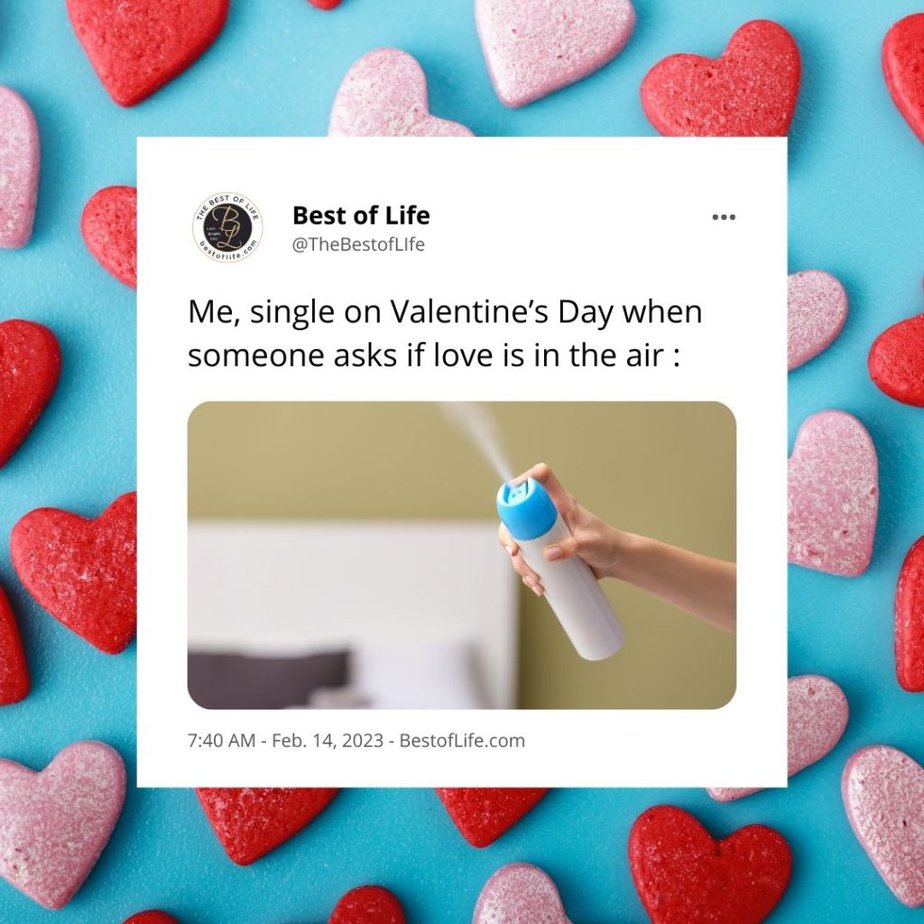 Valentines Memes for Singles Me, single on Valentine’s Day when someone asks if love is in the air: air freshener.