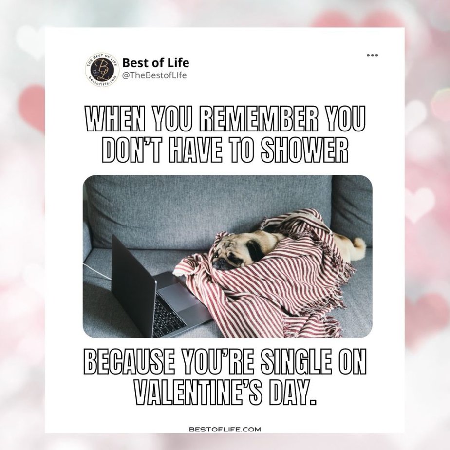 Valentines Memes for Singles When you remember you don’t have to shower because you’re single on Valentine’s Day.