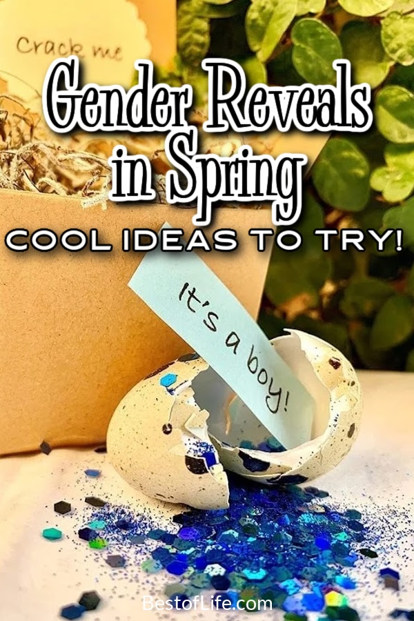 Cool gender reveal ideas for spring can help you announce the gender of your newborn to family and friends safely. Gender Reveal Party Ideas | Food for Gender Reveals | Games for Gender Reveals | Ways to Reveal the Gender | Tips for New Parents | Newborn Party Ideas | Gender Reveal Party Tips | Gender Reveal for Girls | Gender Reveal for Boys | Spring Party Ideas | Spring Baby Shower Ideas #genderreveal #partyideas via @thebestoflife