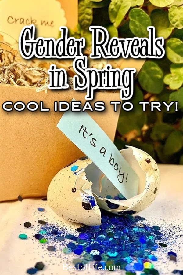 Cool gender reveal ideas for spring can help you announce the gender of your newborn to family and friends safely. Gender Reveal Party Ideas | Food for Gender Reveals | Games for Gender Reveals | Ways to Reveal the Gender | Tips for New Parents | Newborn Party Ideas | Gender Reveal Party Tips | Gender Reveal for Girls | Gender Reveal for Boys | Spring Party Ideas | Spring Baby Shower Ideas #genderreveal #partyideas