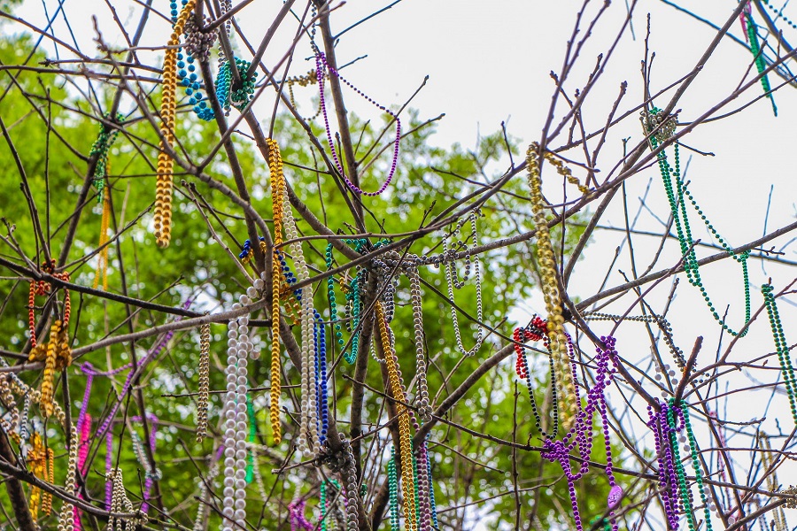 Mardi Gras Appetizer Recipes Mardi Gras Beads Hanging in a Tree