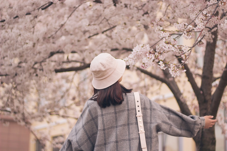Beautiful Spring Quotes Woman Walking Through an Orchard of Cherry Blossom Trees