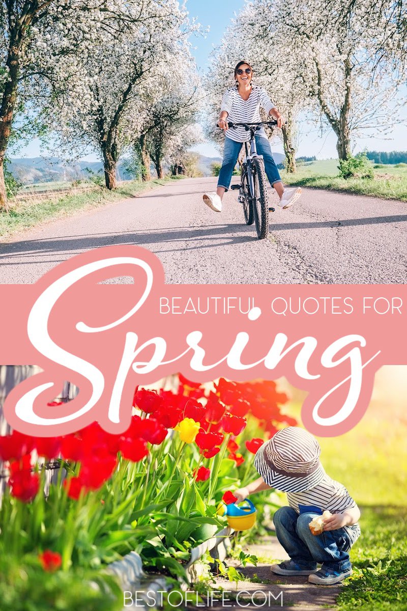 There are some beautiful spring quotes we can use to inspire us to take in more natural beauty as everything blooms around us. Spring Quotes | Quotes About Spring | Inspiring Quotes About Spring | Motivating Quotes About Spring | Quotes to Share | Sayings About Spring | Spring Sayings #springquotes #inspiringquotes via @thebestoflife