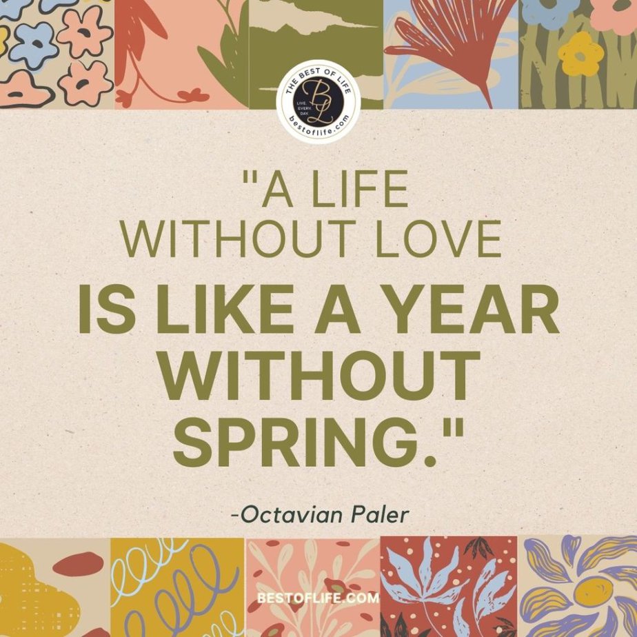 Beautiful Spring Quotes “A life without love is like a year without spring.” -Octavia Paler