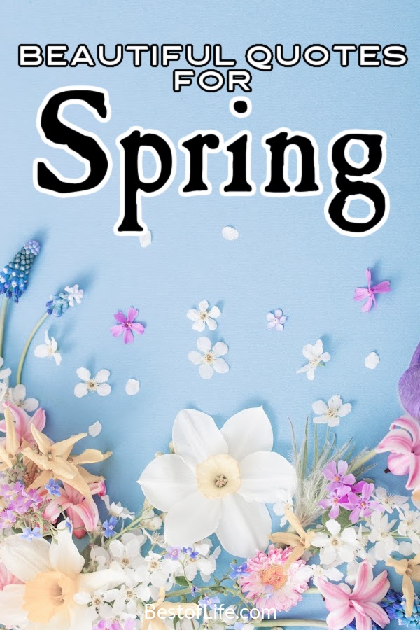 There are some beautiful spring quotes we can use to inspire us to take in more natural beauty as everything blooms around us. Spring Quotes | Quotes About Spring | Inspiring Quotes About Spring | Motivating Quotes About Spring | Quotes to Share | Sayings About Spring | Spring Sayings #springquotes #inspiringquotes