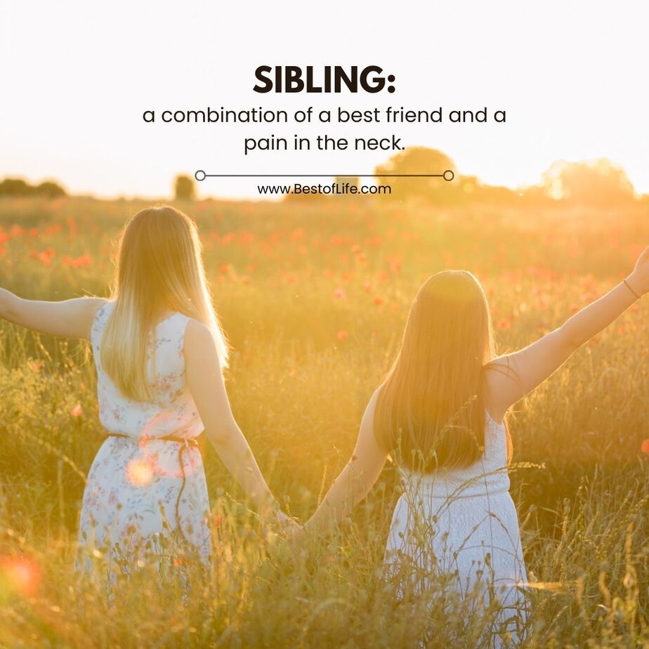 Funny Sibling Quotes Sibling: a combination of a best friend and a pain in the neck.