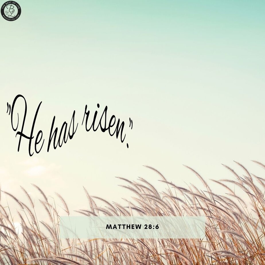 Easter Quotes &ldquo;He has risen.&rdquo; -Matthew 28:6