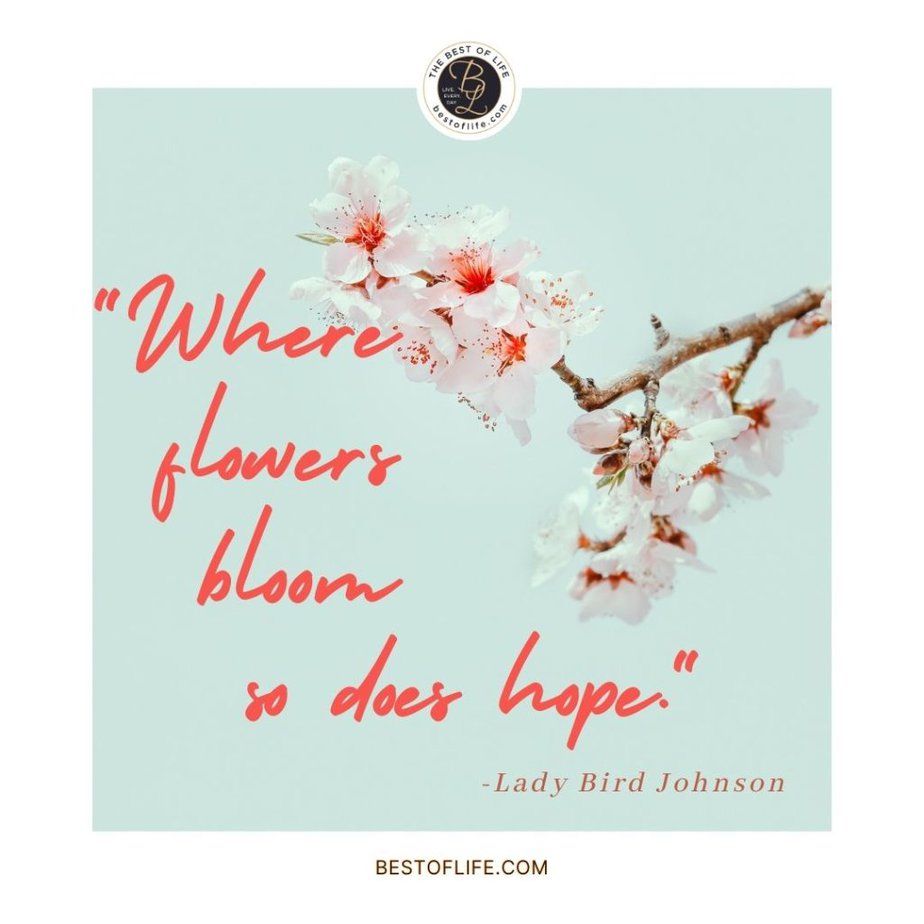 Beautiful Spring Quotes “Where flowers bloom, so does hope.” -Lady Bird Johnson