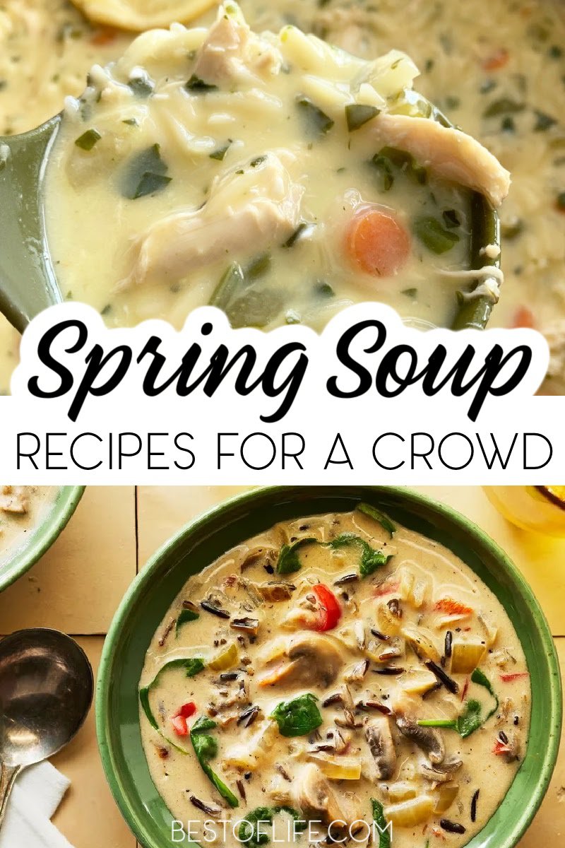 Spring soup recipes are perfect for dinner party recipes in spring or just as part of your regularly scheduled family dinner recipes. Spring Seasonal Ingredients | Spring Dinner Recipes | Spring Dinner Party Recipes | Spring Party Recipes | Recipes for Spring Parties | Healthy Soup Recipes | Easy Soup Recipes | Soup Recipes for Spring | Seasonal Soups for Spring | Seasonal Ingredients for Spring #springrecipes #souprecipes