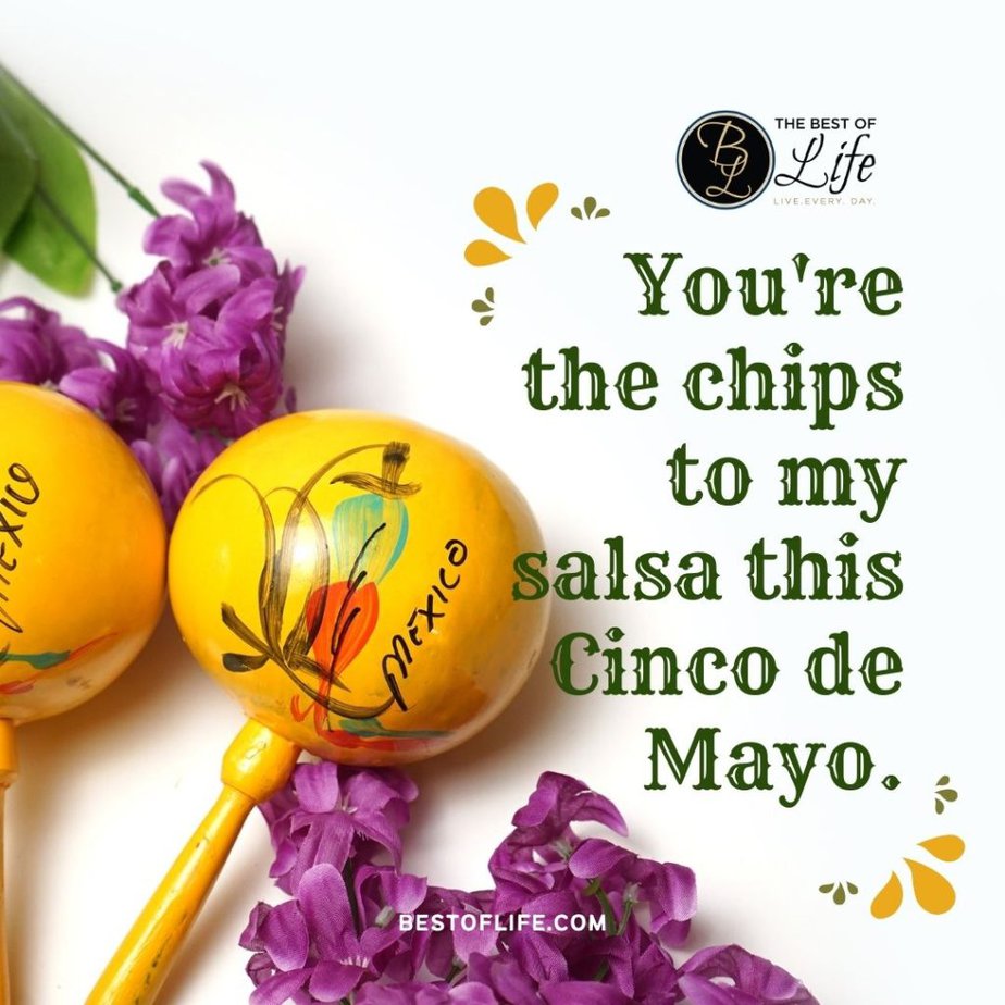 Cinco de Mayo Quotes You're the chips to my salsa this Cinco De Mayo.