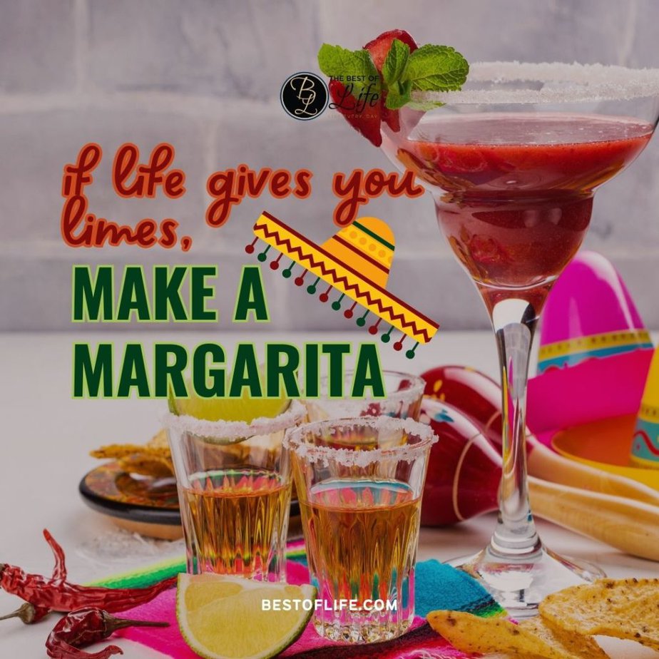 Cinco de Mayo Quotes If life gives you limes, make a margarita.