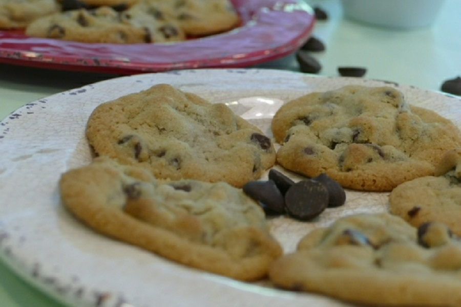 Summer Cookies Close Up of a Small Plate of Chocolate Chip Cookies