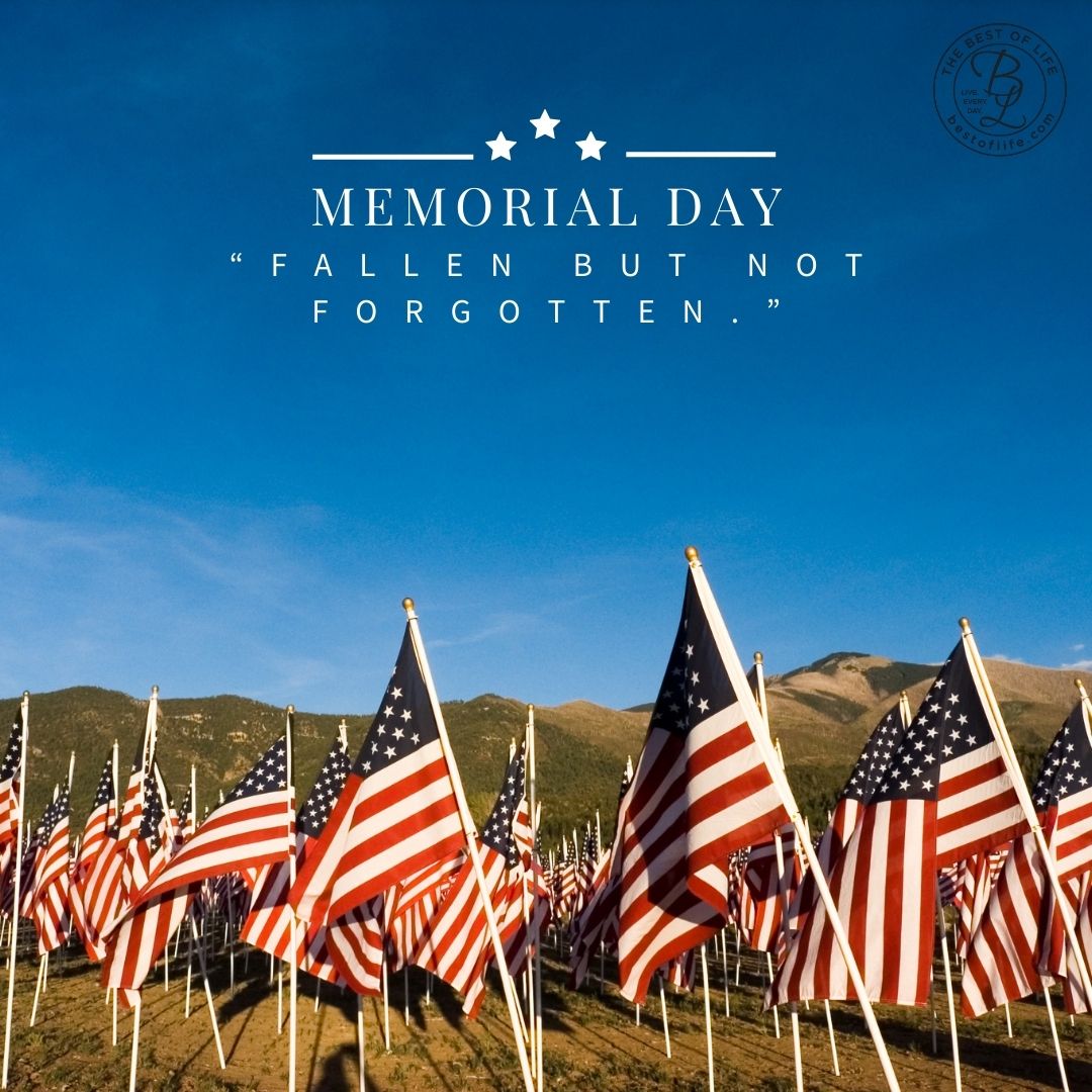 Memorial Day Quotes to Honor Fallen Soldiers “Fallen but not forgotten.”